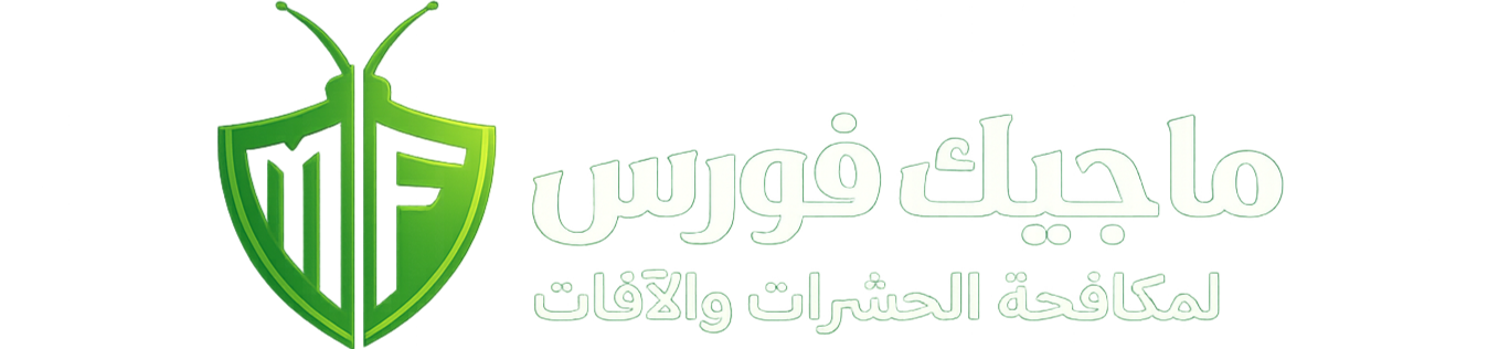 شركة ماجيك فورس